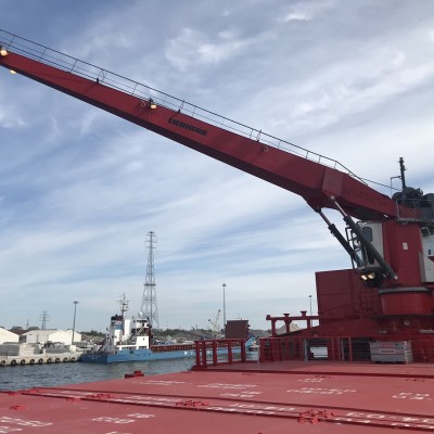 Liebherr Deck Cargo Crane 25T @ 20 mtr (RESERVED)-3