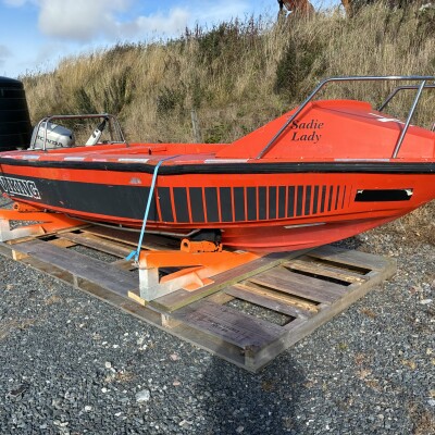 4.7m viking  a rescue boat-4